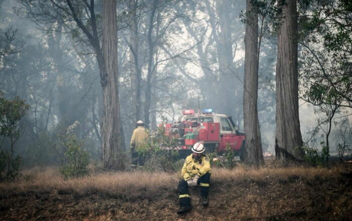 PHOTO: Exhausted firefighters have been battling dozens of blazes across NSW amid a heatwave. (ABC News: Brendan Esposito)