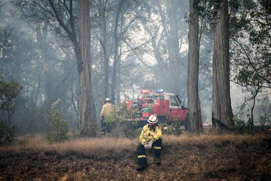 PHOTO: Exhausted firefighters have been battling dozens of blazes across NSW amid a heatwave. (ABC News: Brendan Esposito)
