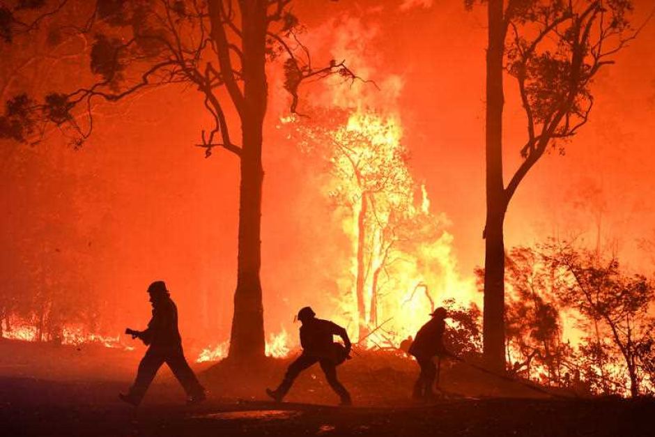 PHOTO: Firefighters at work on the Currowan fire between Batemans Bay and Ulladulla earlier this week. (ABC )