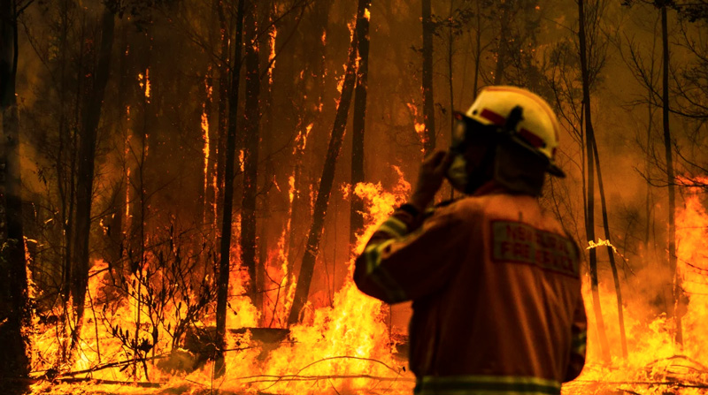 A rural fire service firefighter attempts to protect a property during the Currowan fire in NSW. CREDIT:DION GEORGOPOULOS