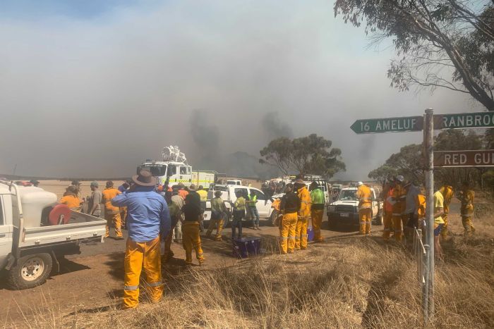 PHOTO: The fire drew a massive response from hundreds of volunteer firefighters from across the state. (Borden Volunteer Bushfire Brigade)