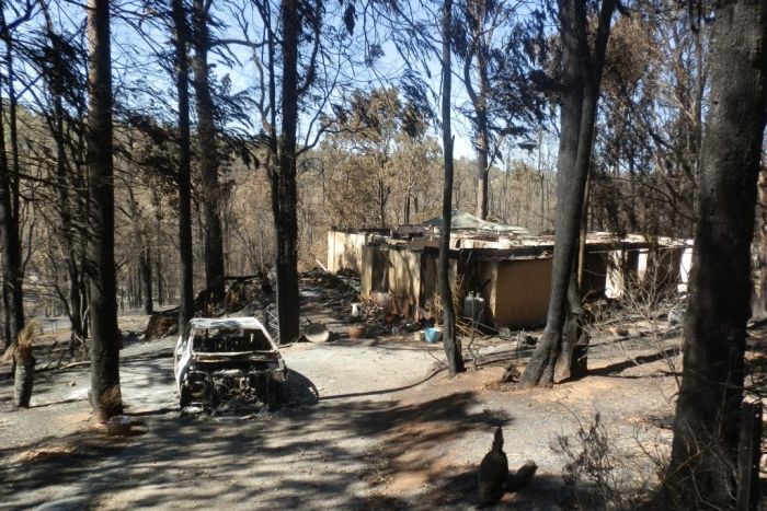 PHOTO: Ms Armington fled her house as it caught fire, burning her arms in the rush to get away. (Supplied: Tom and Lynn Armington)