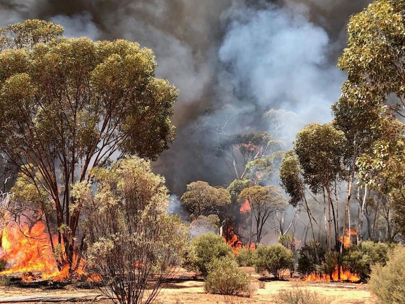 The blazes near Norseman. Credit: South West Task Force Alpha