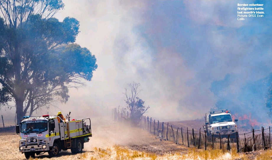 Borden volunteer firefighters battle last month's blaze Picture: DFES' Evan Collis
