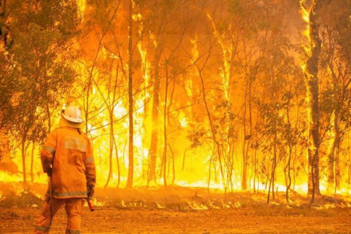 PHOTO: The terms of reference state the changing global climate "carries risks for the Australian environment". (News Video)