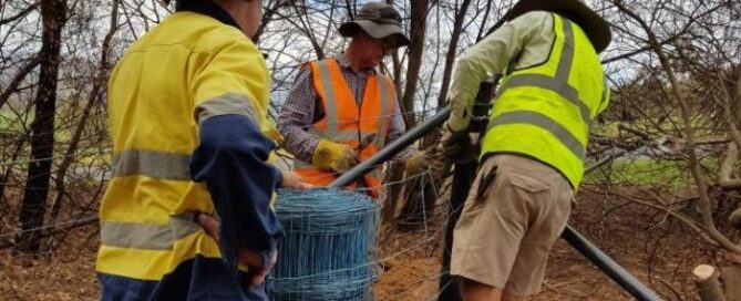 Volunteers have been rebuilding fence lines in the NSW Riverina Highlands. (Supplied)