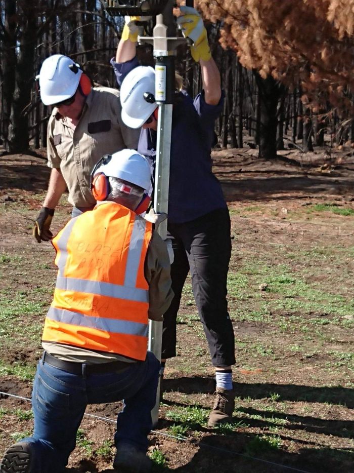 The team in Tumbarumba would like at least another 100 volunteers. (Supplied)