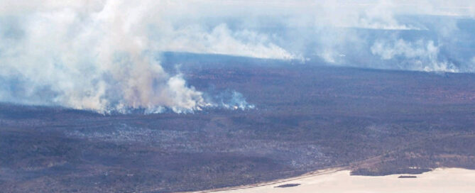 Bushfires near the Coolgardie-Esperance Highway near Norseman. Photo: Kalgoorlie Miner