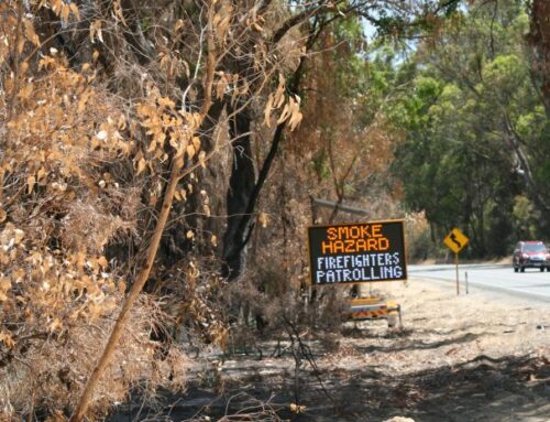 Yanchep News Online: Embers from much earlier fire sparked big Yanchep bushfire