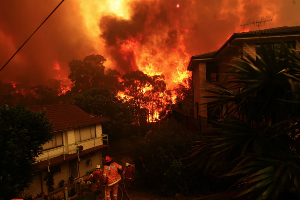 The Royal Commission into National Natural Disaster Arrangements has heard volunteer firefighters are dissatisfied with professional fire managers. Photo: NICK MOIR/SMH