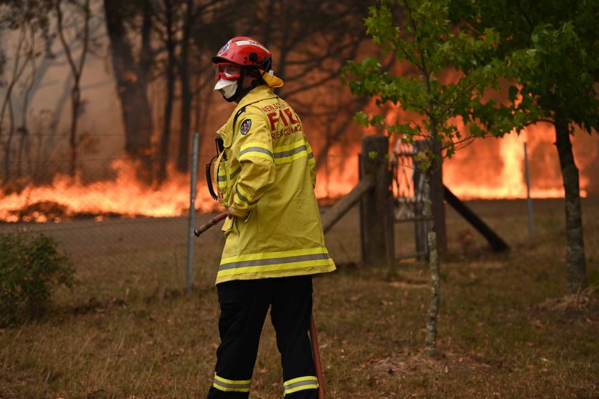 Scott Mackie helped to water bomb fires in NSW last summer.(ABC News: Brendan Esposito)