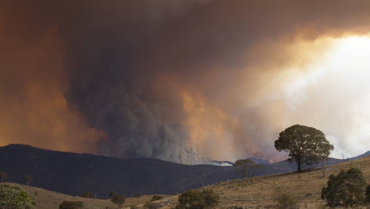 The Orroral Valley fire which destroyed most of Namadgi National Park also brought with it tensions between volunteer firefighters and the Emergency Services Agency. Picture: Jamila Toderas / Canberra Times