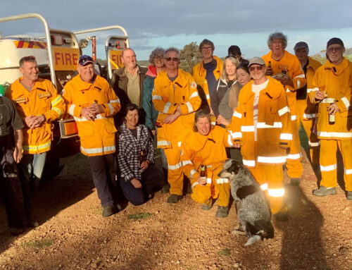 Your chance to nominate extraordinary Bushies in the WA Volunteer Service Awards