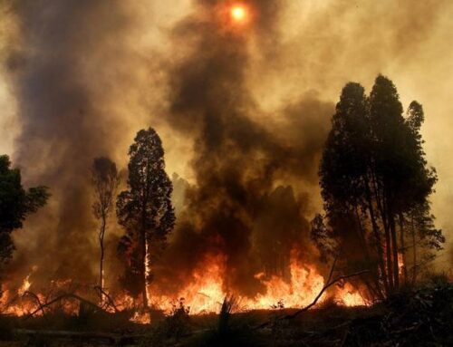 One year after Wooroloo, Bushfire Volunteers State President Dave Gossage AFSM talks to 6PR about the long wait for the State Government’s review into the incident