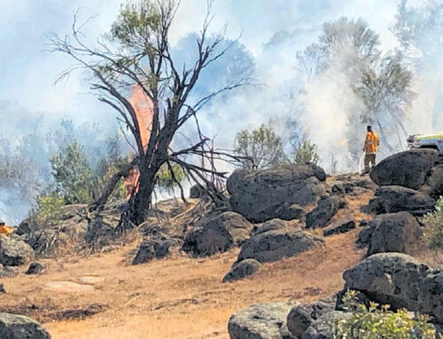 Bushfire Volunteers State President Dave Gossage AFSM talks to ABC Mornings about the impact of telecommunications outages during bushfires