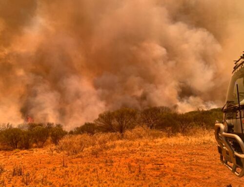 Incredible photos as Bush Fire Brigades assist with Gascoyne fire