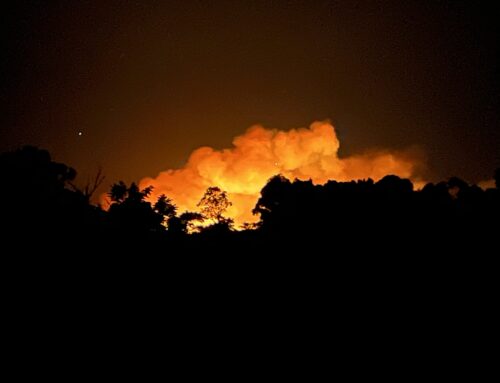 “Even during its most devastating times, nature can produce some extraordinary pictures.”