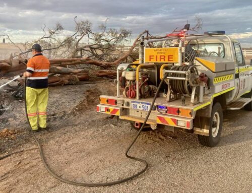 Farm Weekly: Concerns mount over what happens next after WA bushfires